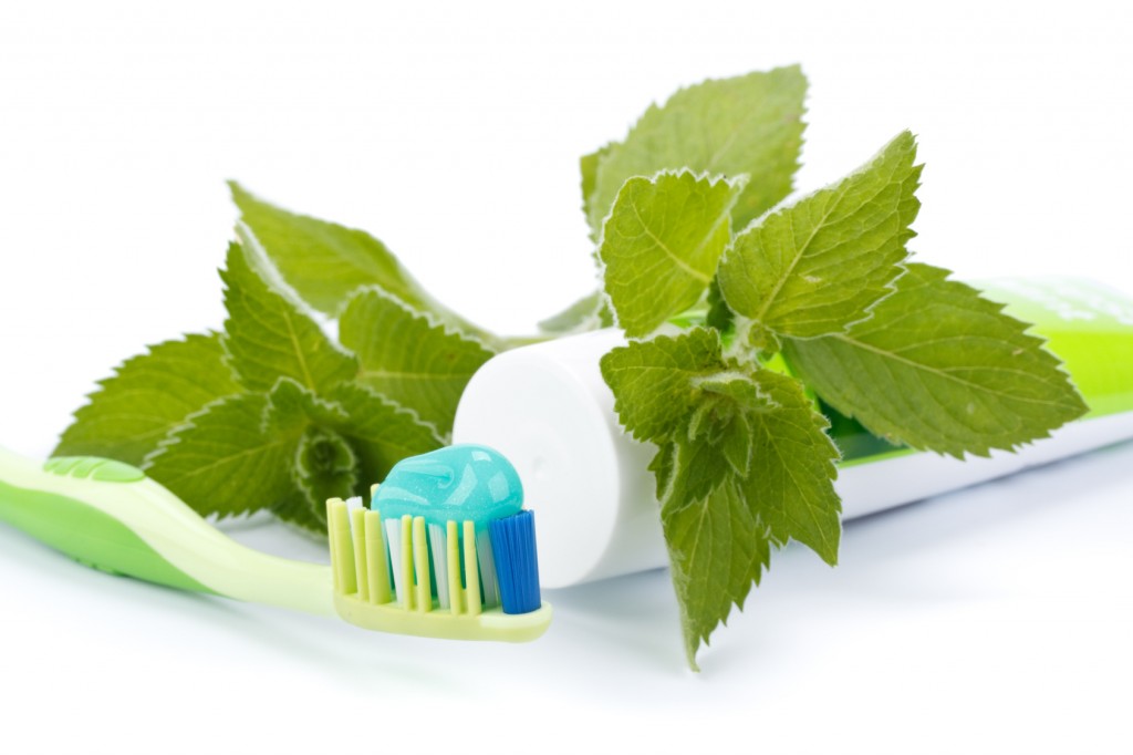 Toothbrush, toothpaste and fresh leaves of mint